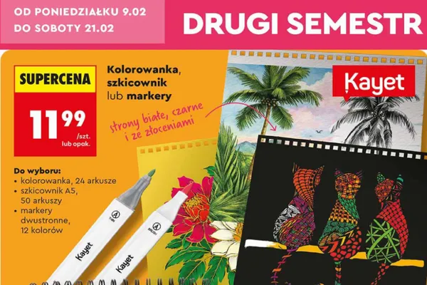 Kolorowanka 24 arkusze promocja w Biedronka