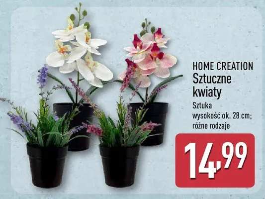 Sztuczne kwiaty promocja w Aldi