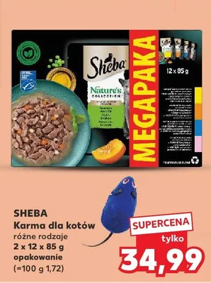 Karma dla kotów różne rodzaje 2 x 12 x 85g opakowanie promocja w Kaufland