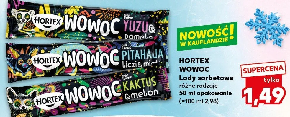 Lody sorbetowe Kaktus & melon Hortex Wowoc promocja w Kaufland