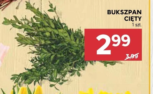 Bukszpan cięty promocja w Stokrotka
