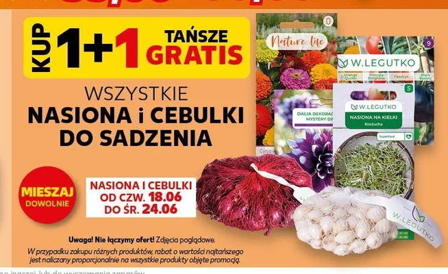 Nasiona i cebulki do sadzenia promocja w Kaufland