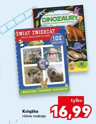 Książka promocja w Kaufland