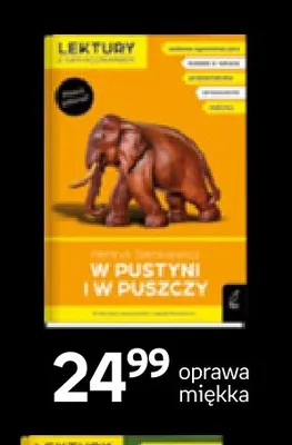 Książka W pustyni i w puszczy oprawa miękka Wilga promocja w Empik