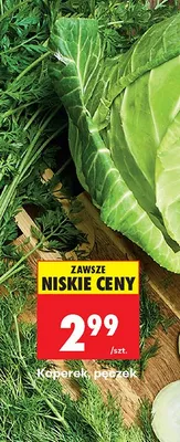 Sałata lodowa promocja w Biedronka