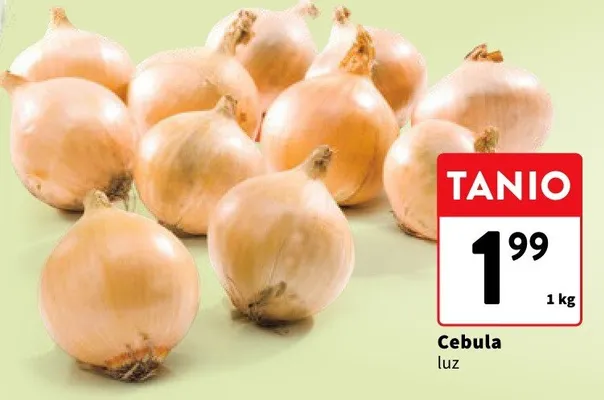 Cebula luz promocja w Intermarche
