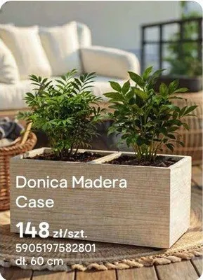 Donica Madera Case promocja w Castorama