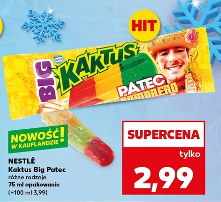 Kaktus Big Patec różne rodzaje promocja w Kaufland
