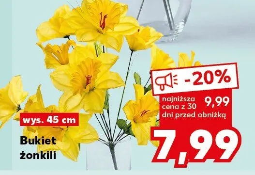 Bukiet żonkili wys. 45 cm promocja w Kaufland