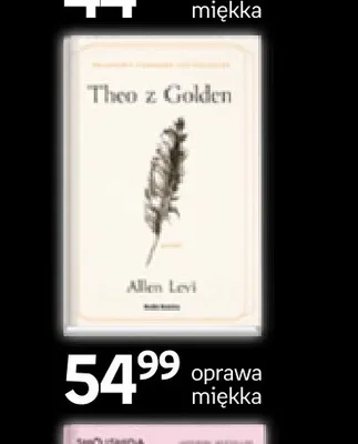 Książka Theo z Golden Allen Levi promocja w Empik