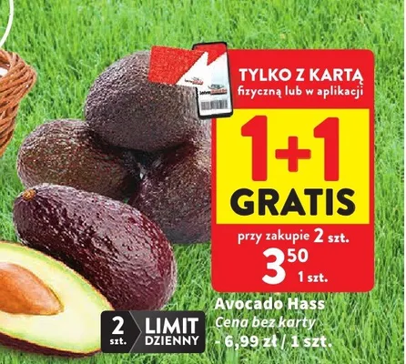 Avocado Hass promocja w Intermarche
