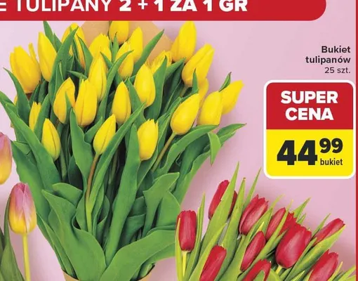 Bukiet tulipanów promocja w Carrefour