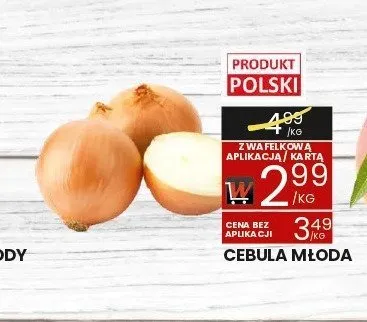 Cebula młoda promocja w Wafelek