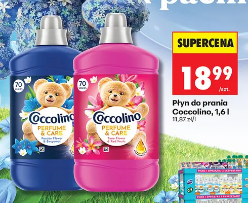 Płyn do prania Coccolino Tiare Flower & Red Fruits promocja w Biedronka