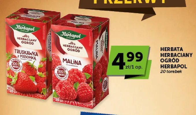 Herbata Herbaciany Ogród Herbapol truskawka z poziomką promocja w Groszek