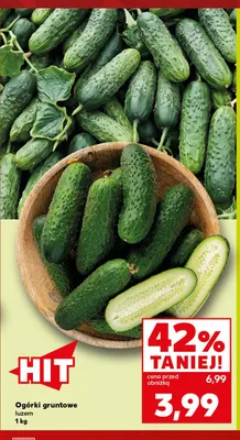 Ogórki gruntowe promocja w Kaufland