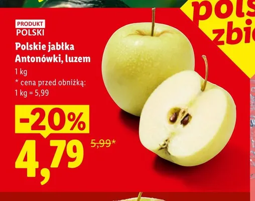 Jabłka Antonówki polskie luzem promocja w Lidl
