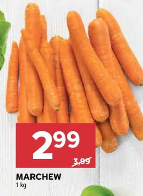 Marchew promocja w Stokrotka