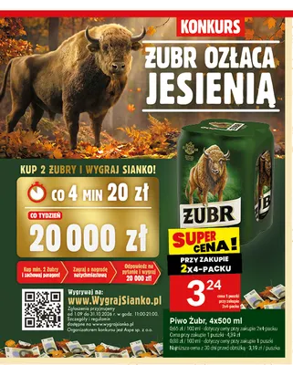 Piwo Żubr 4-pak promocja w Twój Market