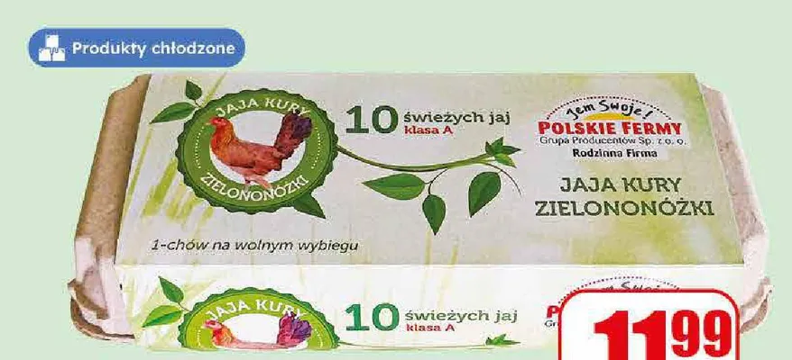 Jaja świeże kury zielononóżki Polskie Fermy 10-pak promocja w Dino