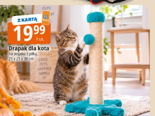 Drapak dla kota na stojaku z piłką promocja w Leclerc
