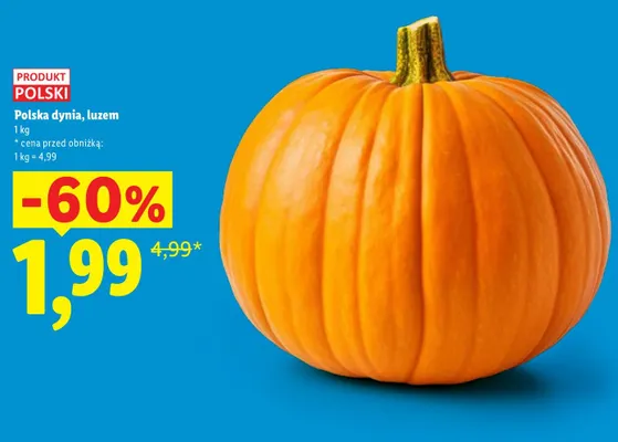 Dynia polska luzem promocja w Lidl