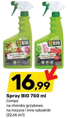 Spray na choroby grzybowe promocja w Bricomarche