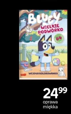 Książka Bluey Wielkie podwórko oprawa miękka promocja w Empik