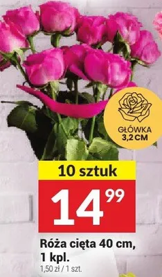 Róża cięta 40 cm promocja w Twój Market