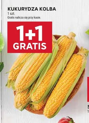Kukurydza kolba promocja w Stokrotka