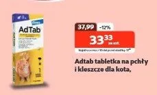 Tabletki na pchły i kleszcze dla kota promocja w KAKADU