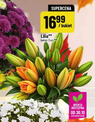 Lilia 3-pak promocja w POLOmarket