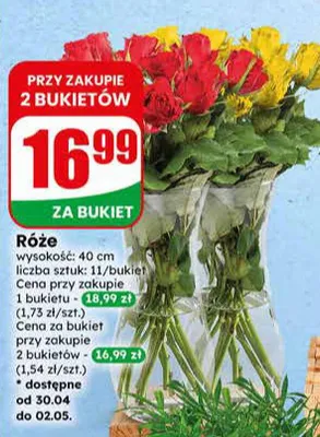 Róże bukiet wysokość 40cm promocja w Dino