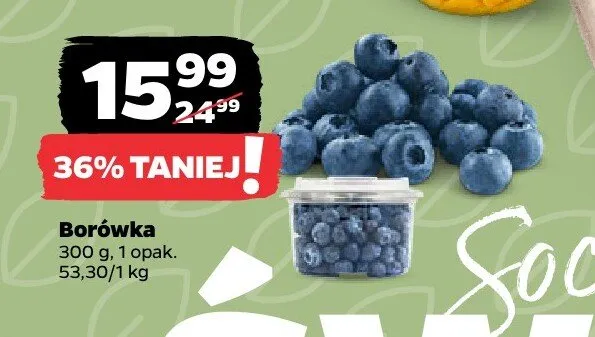 Borówka promocja w Netto