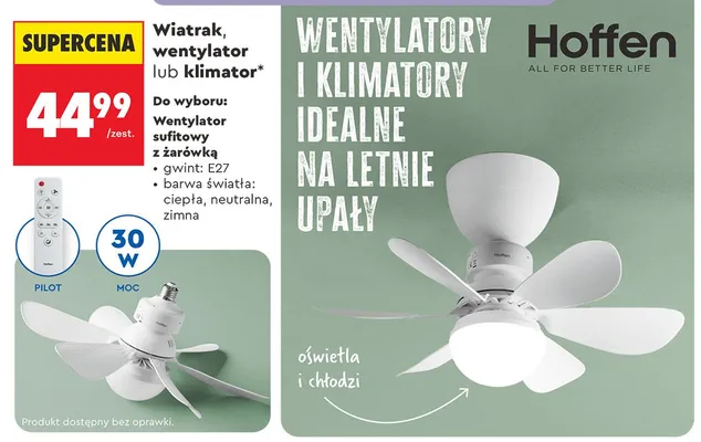 Wentylator sufitowy z żarówką Hoffen promocja w Biedronka