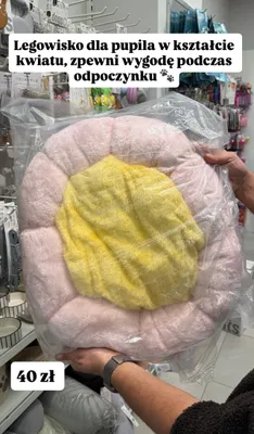 Legowisko dla pupila w kształcie kwiatu promocja w Pepco