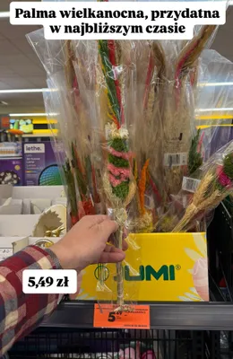 Palma wielkanocna promocja w Biedronka