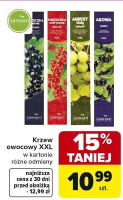 Krzew owocowy XXL w kartonie różne odmiany promocja w Carrefour