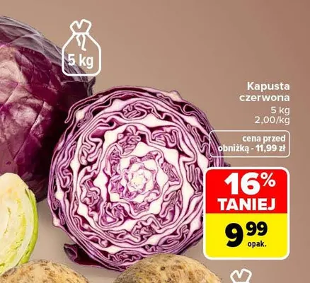 Kapusta czerwona promocja w Carrefour