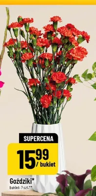 Goździki promocja w POLOmarket