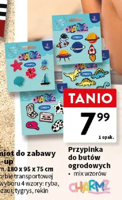 Przypinka do butów ogrodowych CHARMZ promocja w Intermarche