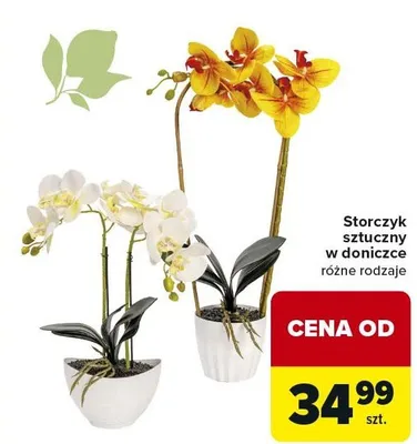 Storczyk sztuczny w doniczce różne rodzaje promocja w Carrefour
