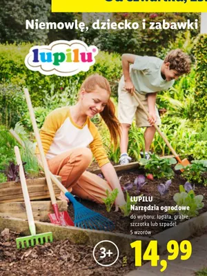 Narzędzia ogrodowe promocja w Lidl