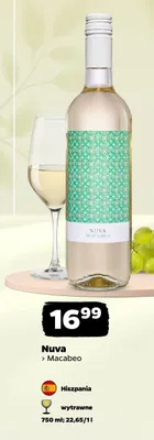Wino Nuva Macabeo promocja w Netto