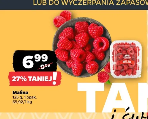 Malina promocja w Netto