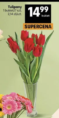 Tulipany promocja w Delikatesy Centrum