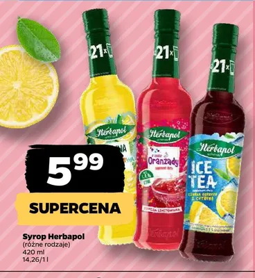 Syrop Herbapol promocja w Netto