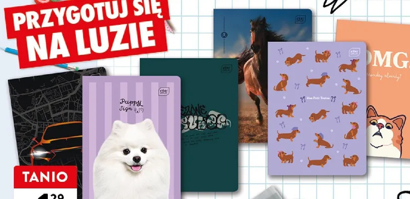 Zeszyt A5 Interdruk 16 stron promocja w Intermarche