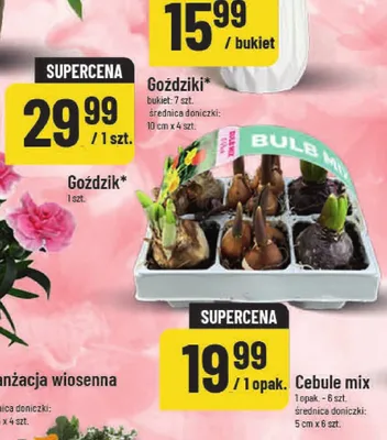 Aranzacja wiosenna promocja w POLOmarket