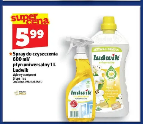 Spray do czyszczenia Ludwik promocja w TOPAZ